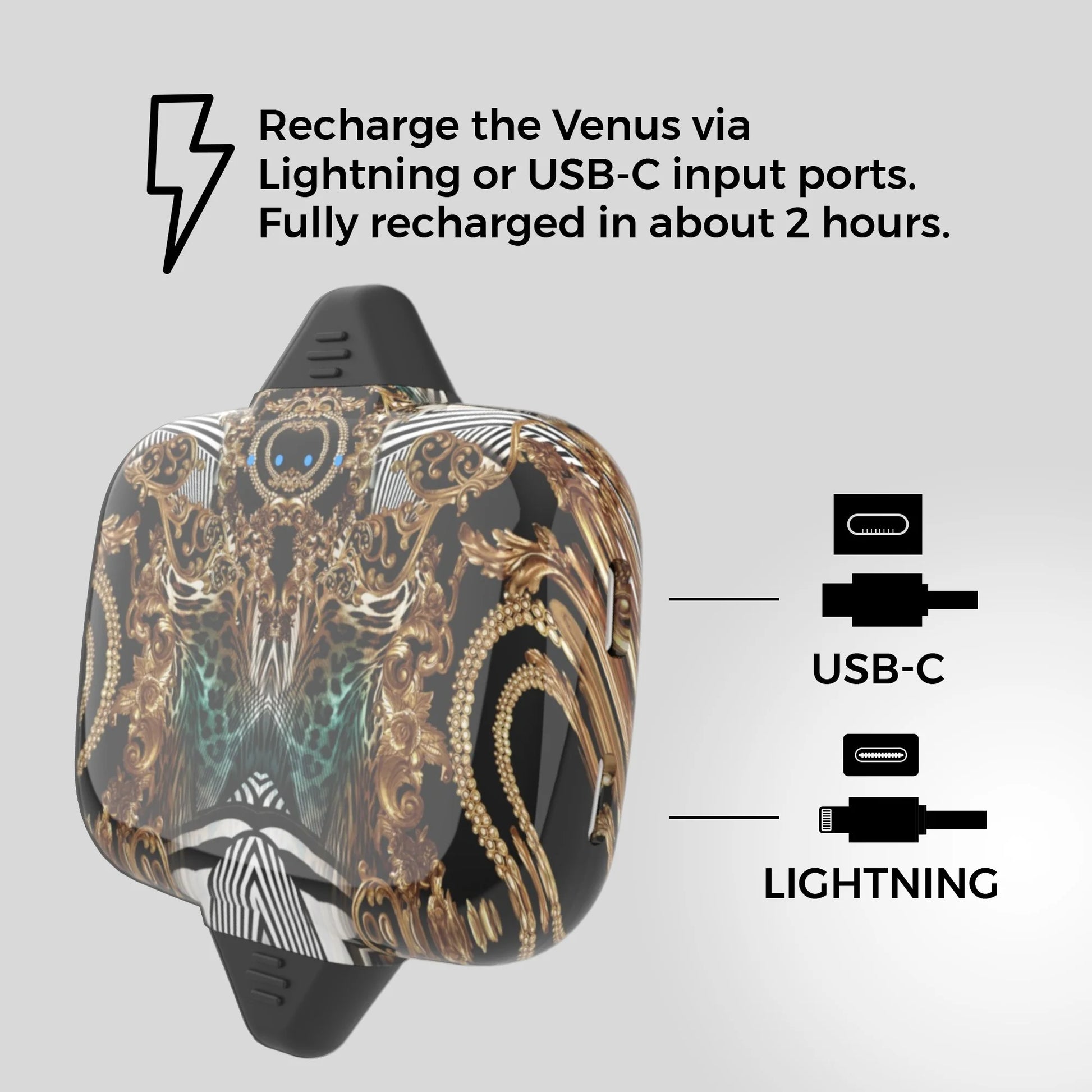 Venus Portable Universal Charger